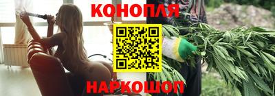 индика Новозыбков