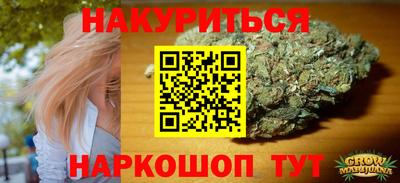индика Новозыбков