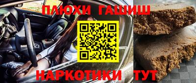 индика Новозыбков